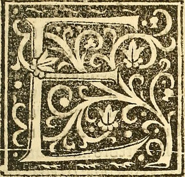 An illustration from Heus lector amice Galeotii Martii Narnie[n]sis Homo lecturie[n]ti tibi duobus libris exteriorib[us] me[m]bris, i[n]terioribusq[ue] co[n]stabat i[n]teger ... Georgii Merulae in De homine librum ... rursus i[n] Georgii scripta Galeotti Refutatio i[n]geniosa .., 1517, leaf 62