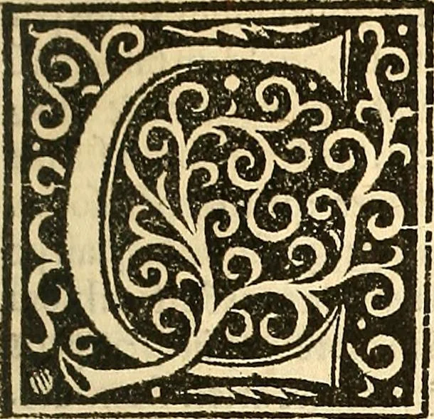 An illustration from Heus lector amice Galeotii Martii Narnie[n]sis Homo lecturie[n]ti tibi duobus libris exteriorib[us] me[m]bris, i[n]terioribusq[ue] co[n]stabat i[n]teger ... Georgii Merulae in De homine librum ... rursus i[n] Georgii scripta Galeotti Refutatio i[n]geniosa .., 1517, leaf 8
