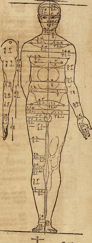 An illustration from Hierinn sind begriffen vier Bucher von menschlicher Proportion durch Albrechten Durer von Nurerberg [sic.] erfunden und beschuben zu nutz allen denen so zu diser kunst lieb tragen, 1528, leaf 102