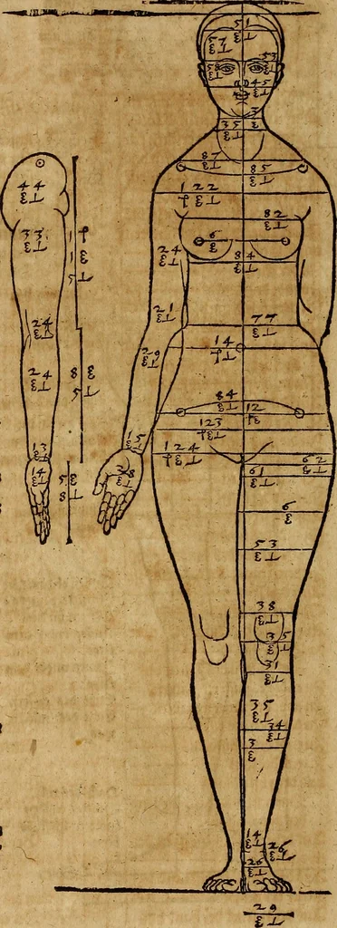 An illustration from Hierinn sind begriffen vier Bucher von menschlicher Proportion durch Albrechten Durer von Nurerberg [sic.] erfunden und beschuben zu nutz allen denen so zu diser kunst lieb tragen, 1528, leaf 103