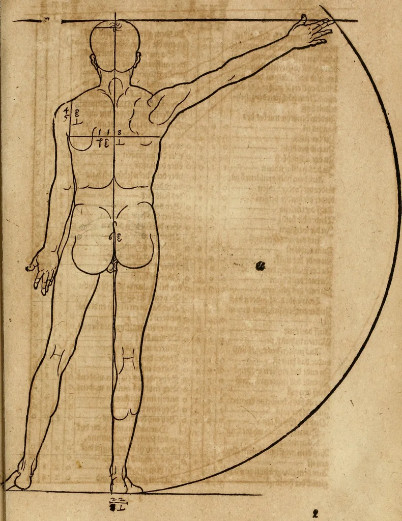An illustration from Hierinn sind begriffen vier Bucher von menschlicher Proportion durch Albrechten Durer von Nurerberg [sic.] erfunden und beschuben zu nutz allen denen so zu diser kunst lieb tragen, 1528, leaf 108