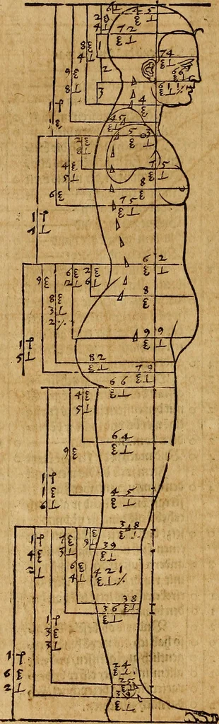 An illustration from Hierinn sind begriffen vier Bucher von menschlicher Proportion durch Albrechten Durer von Nurerberg [sic.] erfunden und beschuben zu nutz allen denen so zu diser kunst lieb tragen, 1528, leaf 111