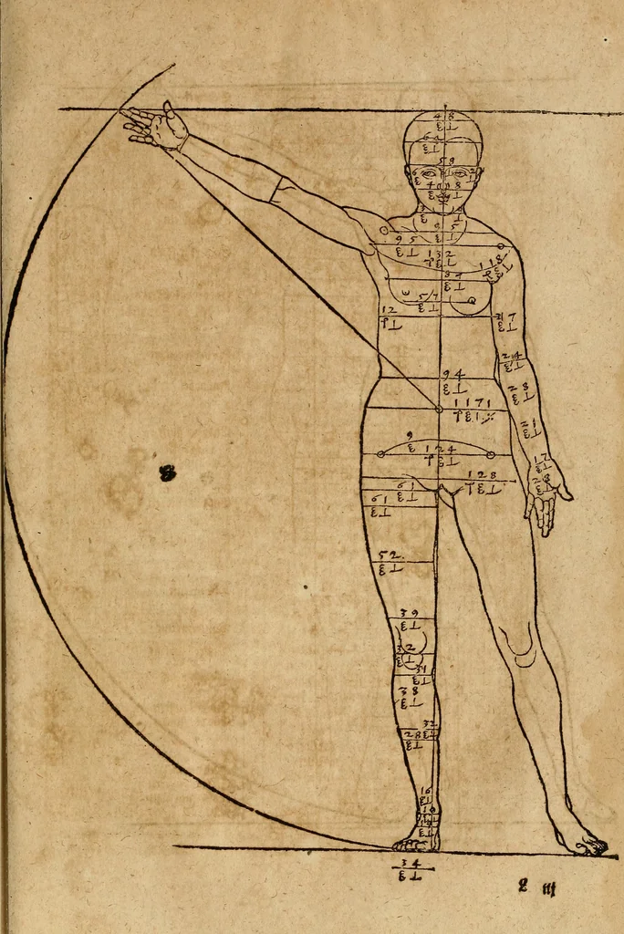 An illustration from Hierinn sind begriffen vier Bucher von menschlicher Proportion durch Albrechten Durer von Nurerberg [sic.] erfunden und beschuben zu nutz allen denen so zu diser kunst lieb tragen, 1528, leaf 112