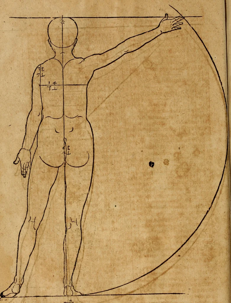 An illustration from Hierinn sind begriffen vier Bucher von menschlicher Proportion durch Albrechten Durer von Nurerberg [sic.] erfunden und beschuben zu nutz allen denen so zu diser kunst lieb tragen, 1528, leaf 113