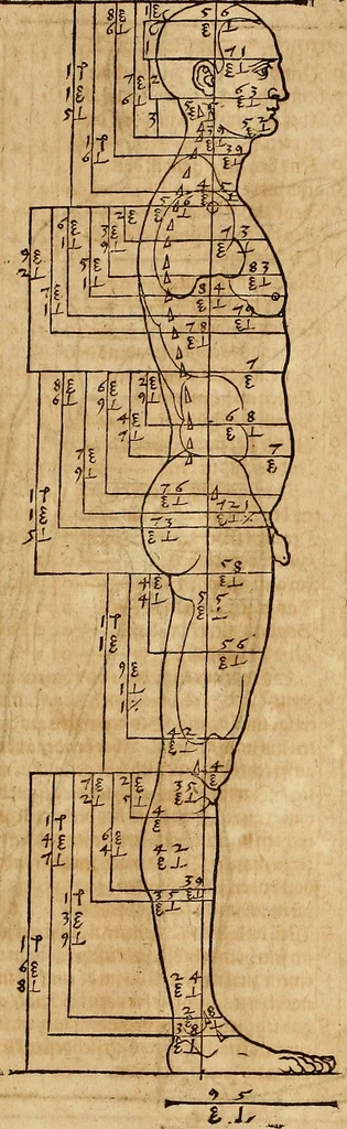An illustration from Hierinn sind begriffen vier Bucher von menschlicher Proportion durch Albrechten Durer von Nurerberg [sic.] erfunden und beschuben zu nutz allen denen so zu diser kunst lieb tragen, 1528, leaf 116
