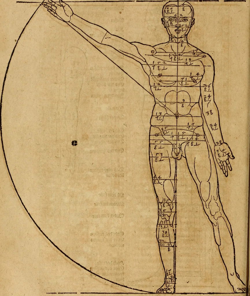 An illustration from Hierinn sind begriffen vier Bucher von menschlicher Proportion durch Albrechten Durer von Nurerberg [sic.] erfunden und beschuben zu nutz allen denen so zu diser kunst lieb tragen, 1528, leaf 117