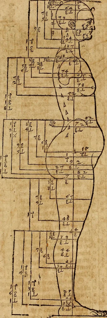 An illustration from Hierinn sind begriffen vier Bucher von menschlicher Proportion durch Albrechten Durer von Nurerberg [sic.] erfunden und beschuben zu nutz allen denen so zu diser kunst lieb tragen, 1528, leaf 121