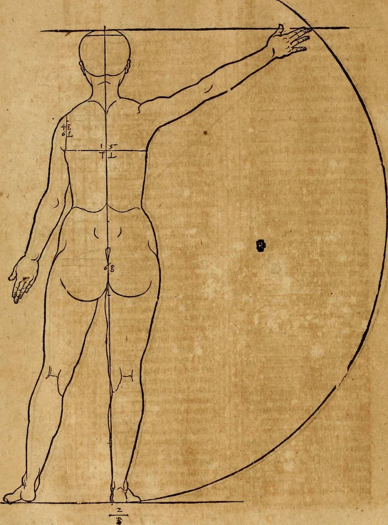 An illustration from Hierinn sind begriffen vier Bucher von menschlicher Proportion durch Albrechten Durer von Nurerberg [sic.] erfunden und beschuben zu nutz allen denen so zu diser kunst lieb tragen, 1528, leaf 123