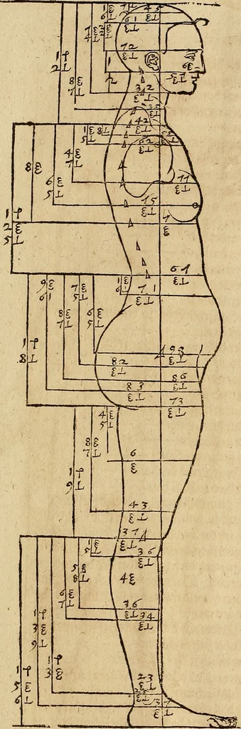 An illustration from Hierinn sind begriffen vier Bucher von menschlicher Proportion durch Albrechten Durer von Nurerberg [sic.] erfunden und beschuben zu nutz allen denen so zu diser kunst lieb tragen, 1528, leaf 126