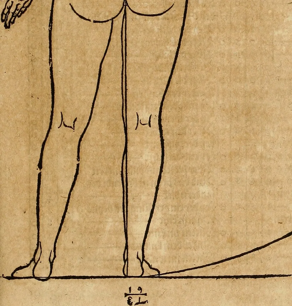 An illustration from Hierinn sind begriffen vier Bucher von menschlicher Proportion durch Albrechten Durer von Nurerberg [sic.] erfunden und beschuben zu nutz allen denen so zu diser kunst lieb tragen, 1528, leaf 128