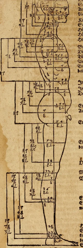An illustration from Hierinn sind begriffen vier Bucher von menschlicher Proportion durch Albrechten Durer von Nurerberg [sic.] erfunden und beschuben zu nutz allen denen so zu diser kunst lieb tragen, 1528, leaf 131