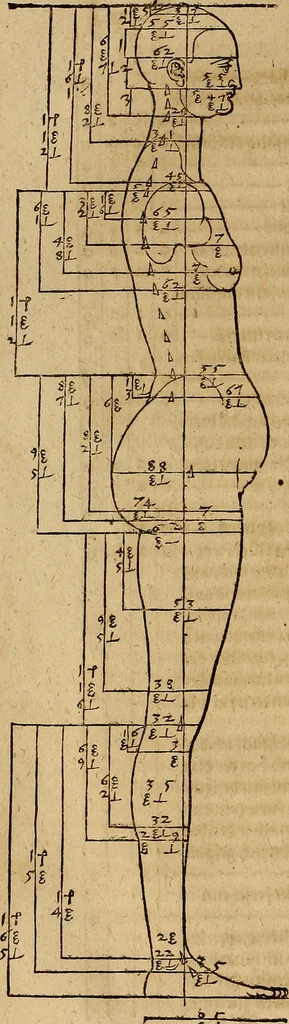 An illustration from Hierinn sind begriffen vier Bucher von menschlicher Proportion durch Albrechten Durer von Nurerberg [sic.] erfunden und beschuben zu nutz allen denen so zu diser kunst lieb tragen, 1528, leaf 135
