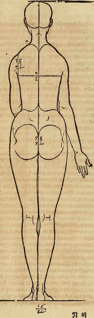 An illustration from Hierinn sind begriffen vier Bucher von menschlicher Proportion durch Albrechten Durer von Nurerberg [sic.] erfunden und beschuben zu nutz allen denen so zu diser kunst lieb tragen, 1528, leaf 136