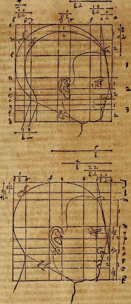 An illustration from Hierinn sind begriffen vier Bucher von menschlicher Proportion durch Albrechten Durer von Nurerberg [sic.] erfunden und beschuben zu nutz allen denen so zu diser kunst lieb tragen, 1528, leaf 139