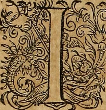 An illustration from Hierinn sind begriffen vier Bucher von menschlicher Proportion durch Albrechten Durer von Nurerberg [sic.] erfunden und beschuben zu nutz allen denen so zu diser kunst lieb tragen, 1528, leaf 140
