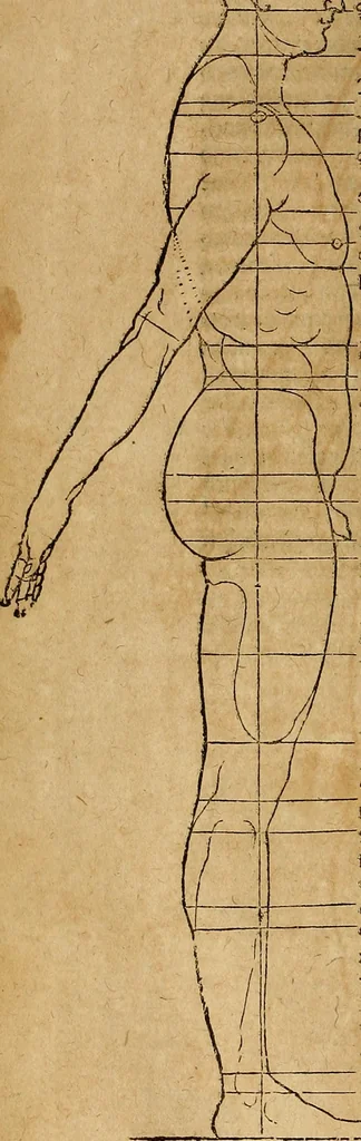 An illustration from Hierinn sind begriffen vier Bucher von menschlicher Proportion durch Albrechten Durer von Nurerberg [sic.] erfunden und beschuben zu nutz allen denen so zu diser kunst lieb tragen, 1528, leaf 147