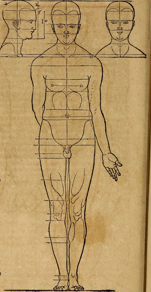 An illustration from Hierinn sind begriffen vier Bucher von menschlicher Proportion durch Albrechten Durer von Nurerberg [sic.] erfunden und beschuben zu nutz allen denen so zu diser kunst lieb tragen, 1528, leaf 147