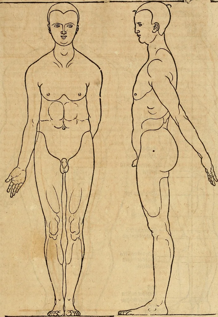 An illustration from Hierinn sind begriffen vier Bucher von menschlicher Proportion durch Albrechten Durer von Nurerberg [sic.] erfunden und beschuben zu nutz allen denen so zu diser kunst lieb tragen, 1528, leaf 148
