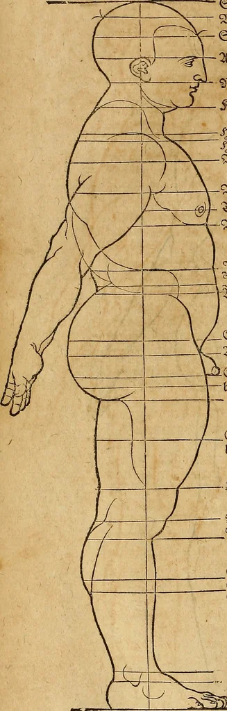 An illustration from Hierinn sind begriffen vier Bucher von menschlicher Proportion durch Albrechten Durer von Nurerberg [sic.] erfunden und beschuben zu nutz allen denen so zu diser kunst lieb tragen, 1528, leaf 149
