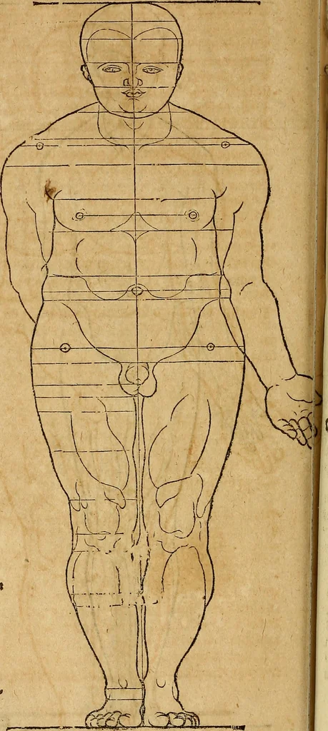 An illustration from Hierinn sind begriffen vier Bucher von menschlicher Proportion durch Albrechten Durer von Nurerberg [sic.] erfunden und beschuben zu nutz allen denen so zu diser kunst lieb tragen, 1528, leaf 149