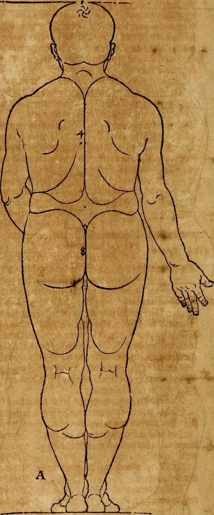 An illustration from Hierinn sind begriffen vier Bucher von menschlicher Proportion durch Albrechten Durer von Nurerberg [sic.] erfunden und beschuben zu nutz allen denen so zu diser kunst lieb tragen, 1528, leaf 15