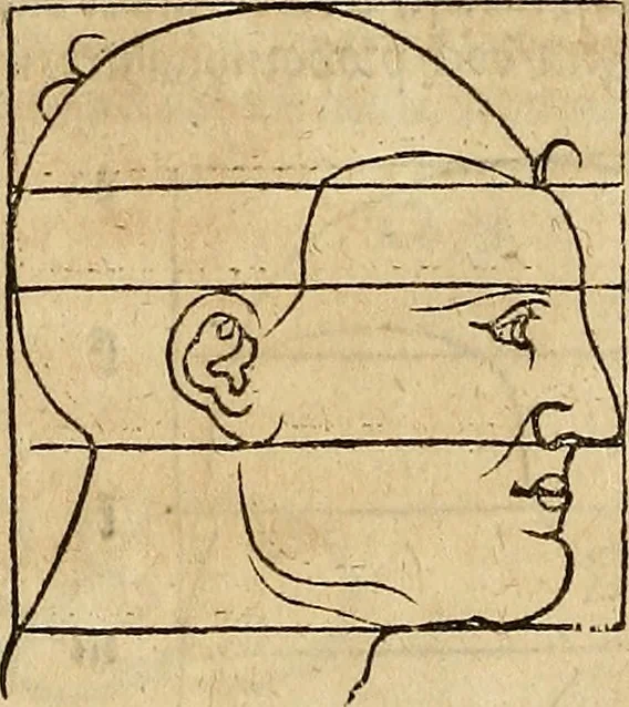 An illustration from Hierinn sind begriffen vier Bucher von menschlicher Proportion durch Albrechten Durer von Nurerberg [sic.] erfunden und beschuben zu nutz allen denen so zu diser kunst lieb tragen, 1528, leaf 162