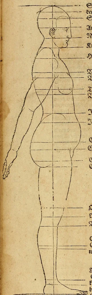 An illustration from Hierinn sind begriffen vier Bucher von menschlicher Proportion durch Albrechten Durer von Nurerberg [sic.] erfunden und beschuben zu nutz allen denen so zu diser kunst lieb tragen, 1528, leaf 175