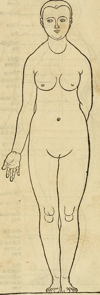 An illustration from Hierinn sind begriffen vier Bucher von menschlicher Proportion durch Albrechten Durer von Nurerberg [sic.] erfunden und beschuben zu nutz allen denen so zu diser kunst lieb tragen, 1528, leaf 176