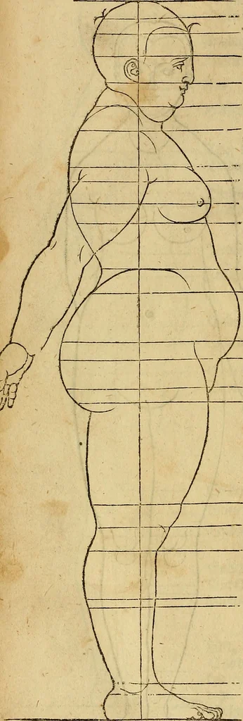 An illustration from Hierinn sind begriffen vier Bucher von menschlicher Proportion durch Albrechten Durer von Nurerberg [sic.] erfunden und beschuben zu nutz allen denen so zu diser kunst lieb tragen, 1528, leaf 177