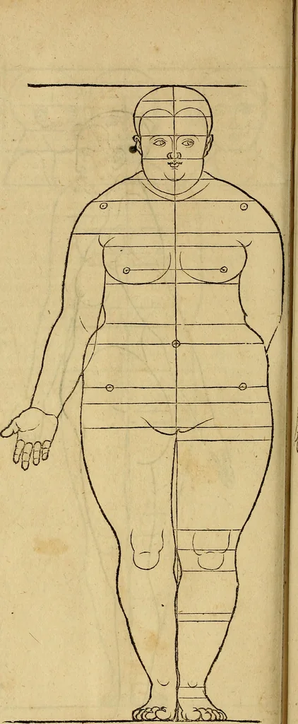 An illustration from Hierinn sind begriffen vier Bucher von menschlicher Proportion durch Albrechten Durer von Nurerberg [sic.] erfunden und beschuben zu nutz allen denen so zu diser kunst lieb tragen, 1528, leaf 177