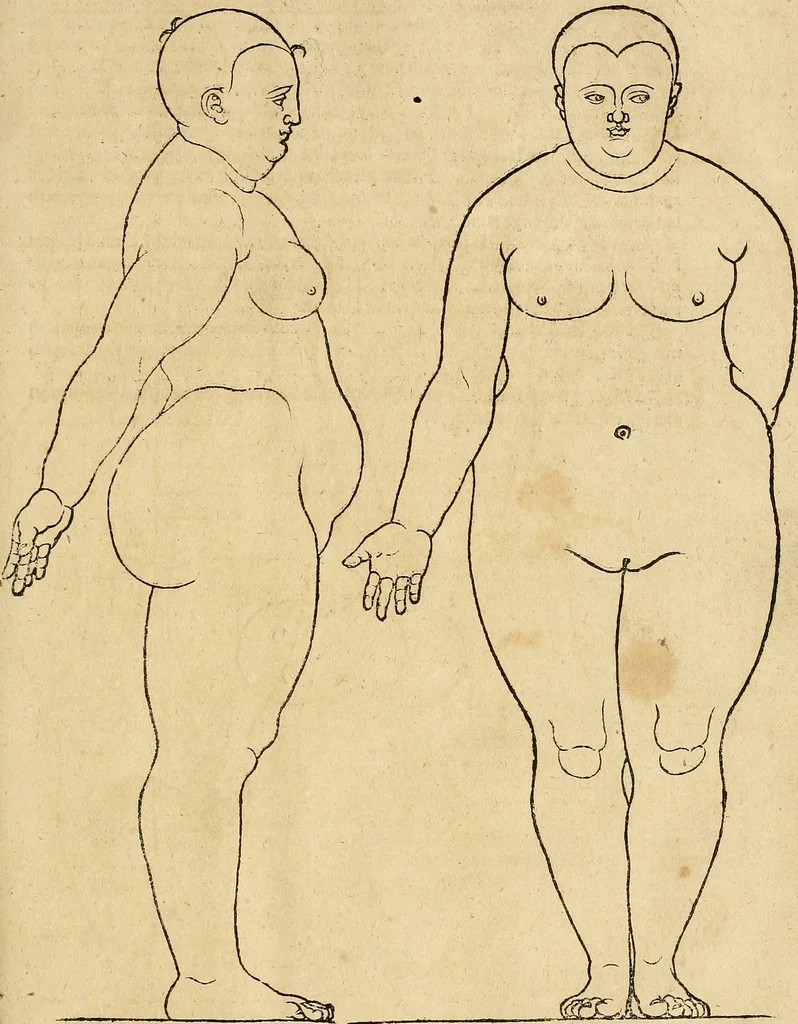 An illustration from Hierinn sind begriffen vier Bucher von menschlicher Proportion durch Albrechten Durer von Nurerberg [sic.] erfunden und beschuben zu nutz allen denen so zu diser kunst lieb tragen, 1528, leaf 178