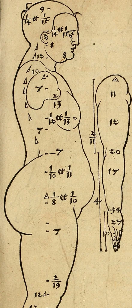 An illustration from Hierinn sind begriffen vier Bucher von menschlicher Proportion durch Albrechten Durer von Nurerberg [sic.] erfunden und beschuben zu nutz allen denen so zu diser kunst lieb tragen, 1528, leaf 18