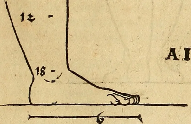 An illustration from Hierinn sind begriffen vier Bucher von menschlicher Proportion durch Albrechten Durer von Nurerberg [sic.] erfunden und beschuben zu nutz allen denen so zu diser kunst lieb tragen, 1528, leaf 18