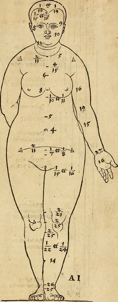 An illustration from Hierinn sind begriffen vier Bucher von menschlicher Proportion durch Albrechten Durer von Nurerberg [sic.] erfunden und beschuben zu nutz allen denen so zu diser kunst lieb tragen, 1528, leaf 18