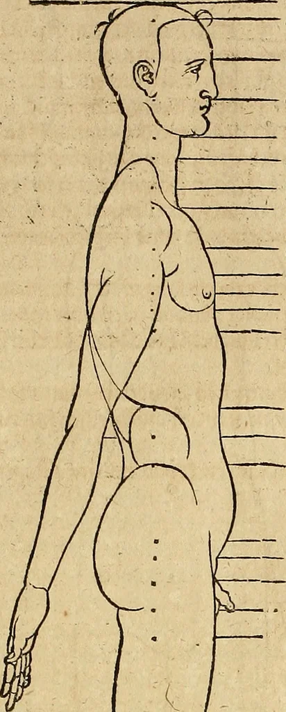 An illustration from Hierinn sind begriffen vier Bucher von menschlicher Proportion durch Albrechten Durer von Nurerberg [sic.] erfunden und beschuben zu nutz allen denen so zu diser kunst lieb tragen, 1528, leaf 180