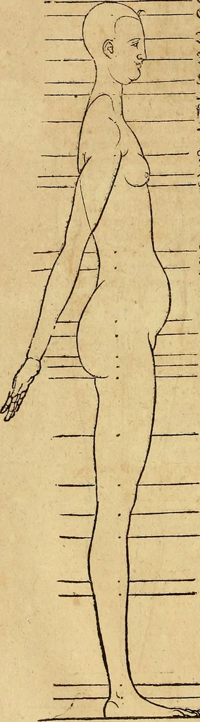 An illustration from Hierinn sind begriffen vier Bucher von menschlicher Proportion durch Albrechten Durer von Nurerberg [sic.] erfunden und beschuben zu nutz allen denen so zu diser kunst lieb tragen, 1528, leaf 181