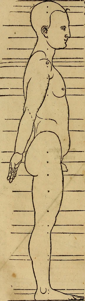 An illustration from Hierinn sind begriffen vier Bucher von menschlicher Proportion durch Albrechten Durer von Nurerberg [sic.] erfunden und beschuben zu nutz allen denen so zu diser kunst lieb tragen, 1528, leaf 187
