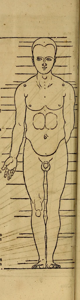 An illustration from Hierinn sind begriffen vier Bucher von menschlicher Proportion durch Albrechten Durer von Nurerberg [sic.] erfunden und beschuben zu nutz allen denen so zu diser kunst lieb tragen, 1528, leaf 187