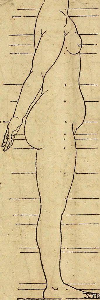 An illustration from Hierinn sind begriffen vier Bucher von menschlicher Proportion durch Albrechten Durer von Nurerberg [sic.] erfunden und beschuben zu nutz allen denen so zu diser kunst lieb tragen, 1528, leaf 188