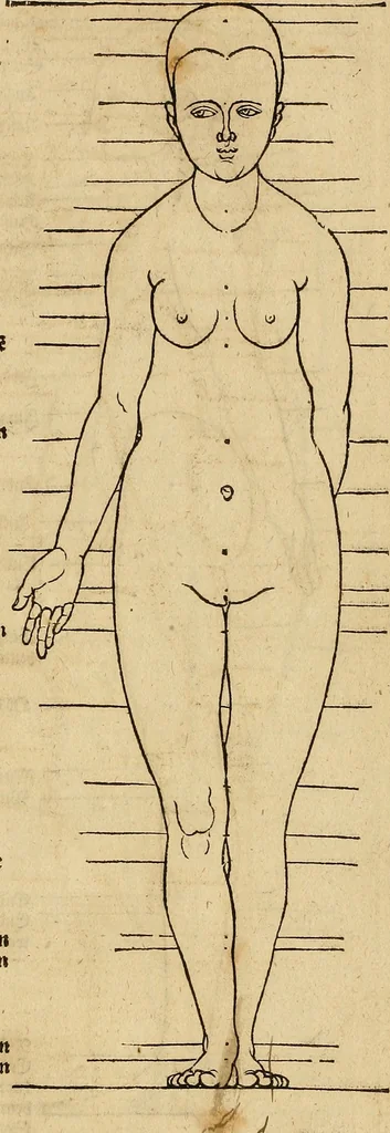 An illustration from Hierinn sind begriffen vier Bucher von menschlicher Proportion durch Albrechten Durer von Nurerberg [sic.] erfunden und beschuben zu nutz allen denen so zu diser kunst lieb tragen, 1528, leaf 188