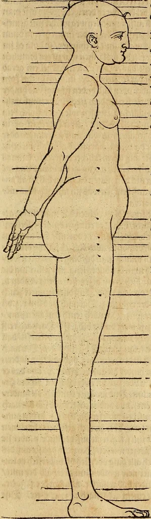 An illustration from Hierinn sind begriffen vier Bucher von menschlicher Proportion durch Albrechten Durer von Nurerberg [sic.] erfunden und beschuben zu nutz allen denen so zu diser kunst lieb tragen, 1528, leaf 190