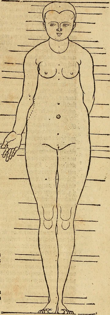 An illustration from Hierinn sind begriffen vier Bucher von menschlicher Proportion durch Albrechten Durer von Nurerberg [sic.] erfunden und beschuben zu nutz allen denen so zu diser kunst lieb tragen, 1528, leaf 190