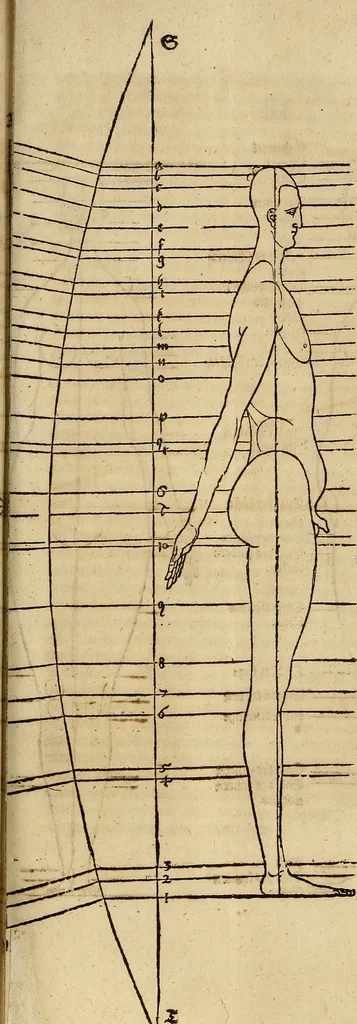 An illustration from Hierinn sind begriffen vier Bucher von menschlicher Proportion durch Albrechten Durer von Nurerberg [sic.] erfunden und beschuben zu nutz allen denen so zu diser kunst lieb tragen, 1528, leaf 196