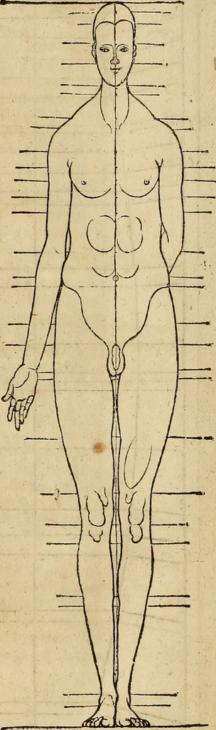 An illustration from Hierinn sind begriffen vier Bucher von menschlicher Proportion durch Albrechten Durer von Nurerberg [sic.] erfunden und beschuben zu nutz allen denen so zu diser kunst lieb tragen, 1528, leaf 196