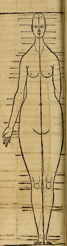 An illustration from Hierinn sind begriffen vier Bucher von menschlicher Proportion durch Albrechten Durer von Nurerberg [sic.] erfunden und beschuben zu nutz allen denen so zu diser kunst lieb tragen, 1528, leaf 197