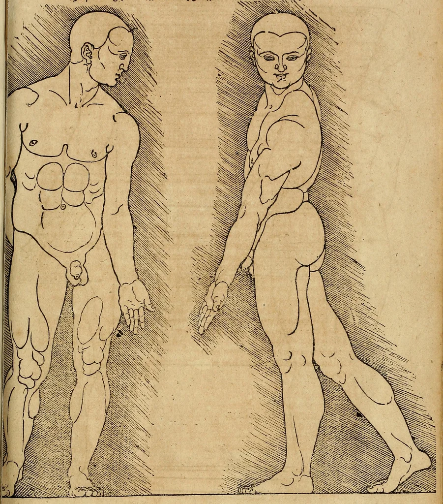 An illustration from Hierinn sind begriffen vier Bucher von menschlicher Proportion durch Albrechten Durer von Nurerberg [sic.] erfunden und beschuben zu nutz allen denen so zu diser kunst lieb tragen, 1528, leaf 214