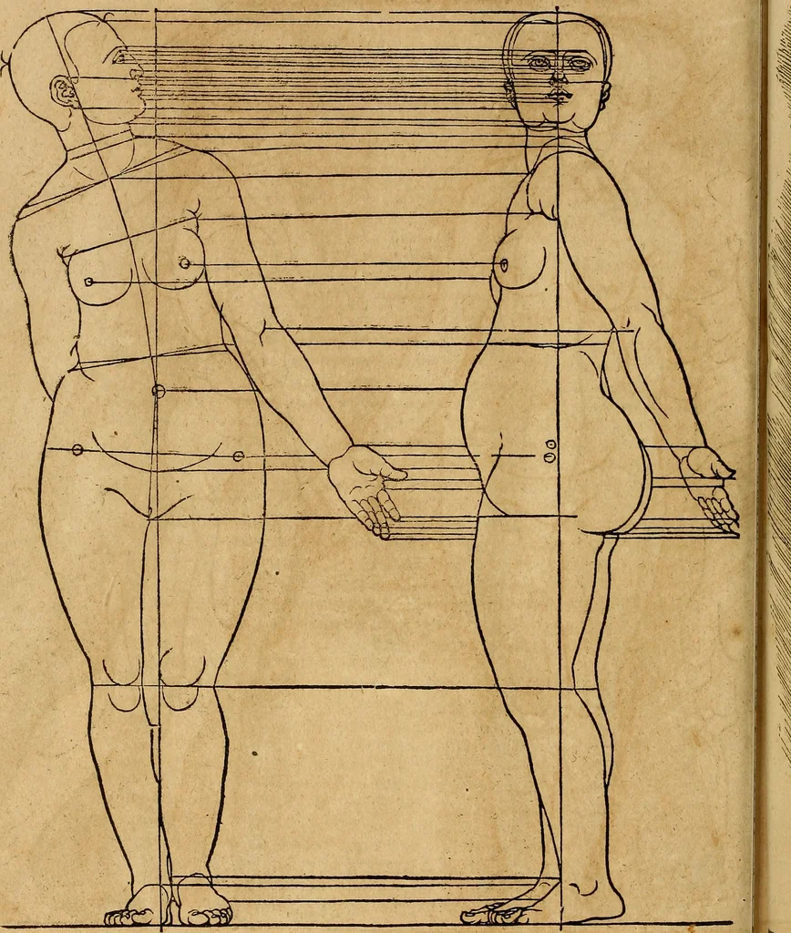 An illustration from Hierinn sind begriffen vier Bucher von menschlicher Proportion durch Albrechten Durer von Nurerberg [sic.] erfunden und beschuben zu nutz allen denen so zu diser kunst lieb tragen, 1528, leaf 215