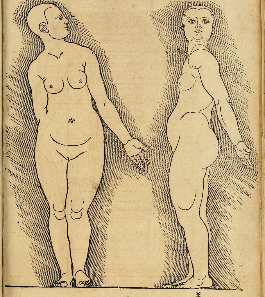 An illustration from Hierinn sind begriffen vier Bucher von menschlicher Proportion durch Albrechten Durer von Nurerberg [sic.] erfunden und beschuben zu nutz allen denen so zu diser kunst lieb tragen, 1528, leaf 216