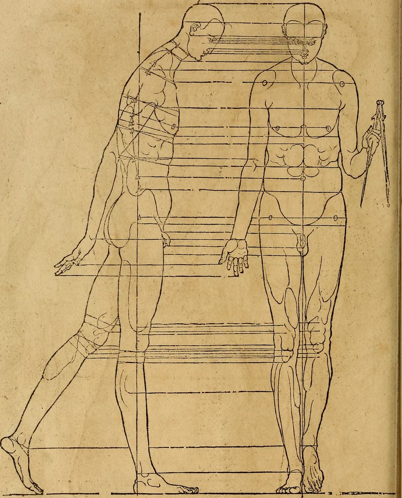 An illustration from Hierinn sind begriffen vier Bucher von menschlicher Proportion durch Albrechten Durer von Nurerberg [sic.] erfunden und beschuben zu nutz allen denen so zu diser kunst lieb tragen, 1528, leaf 217
