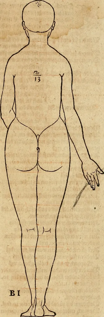An illustration from Hierinn sind begriffen vier Bucher von menschlicher Proportion durch Albrechten Durer von Nurerberg [sic.] erfunden und beschuben zu nutz allen denen so zu diser kunst lieb tragen, 1528, leaf 22